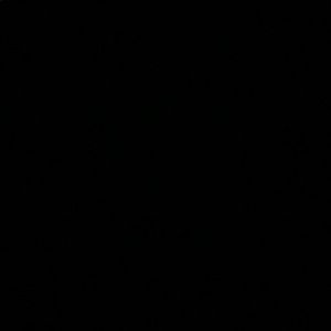 Meet your Posher, Bailey